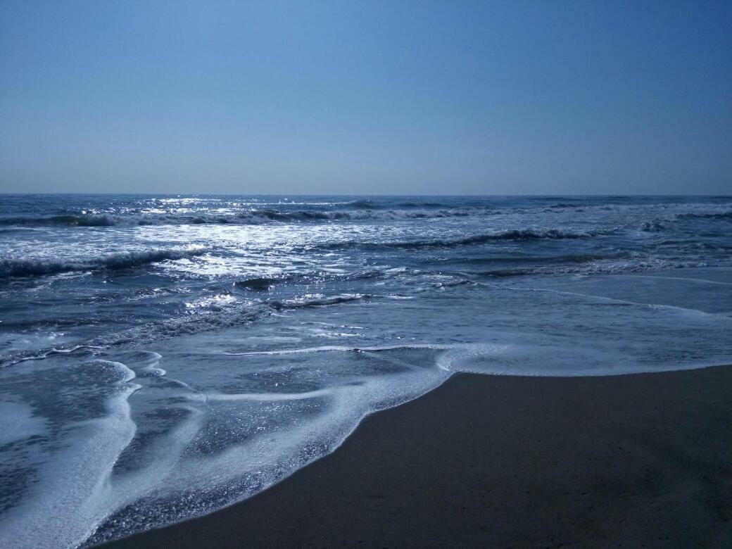 Terrasses De La Mediterranee Fleury  Dış mekan fotoğraf